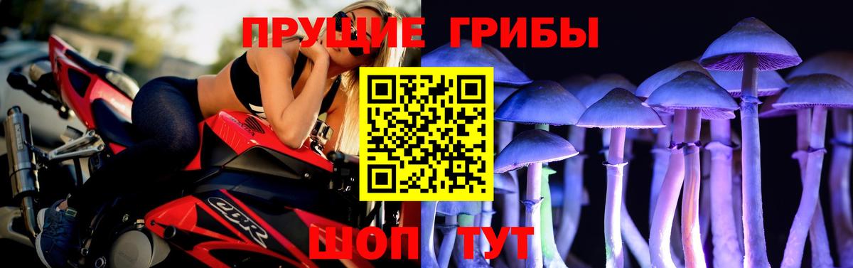 Псилоцибиновые грибы Psilocybine cubensis  Вход с VPN  Мелеуз  Галлюциногенные грибы мицелий 